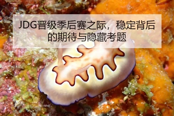 JDG晋级季后赛之际，稳定背后的期待与隐藏考题