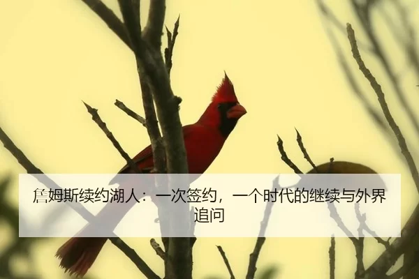 詹姆斯续约湖人：一次签约，一个时代的继续与外界追问